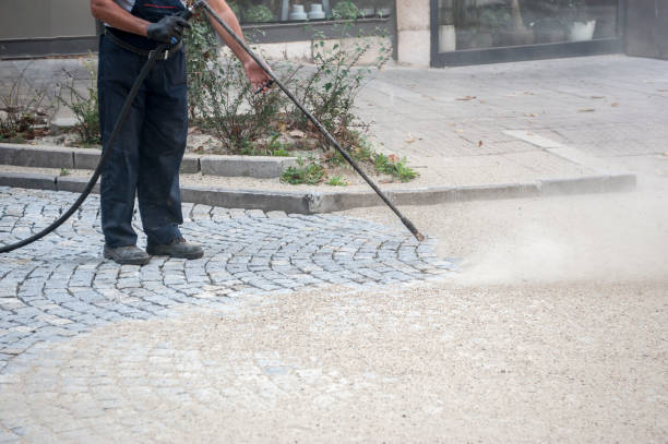 Best Driveway Cleaning and Restoration in Shongopovi, AZ