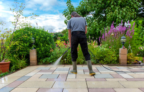 Best Concrete Surface Cleaning in Shongopovi, AZ
